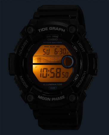 Часы наручные Casio WS-1300H-1AVEF