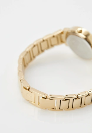 Часы наручные Anne Klein AK/5104MPGB