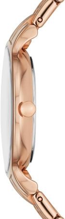 Часы наручные Skagen SKW3128