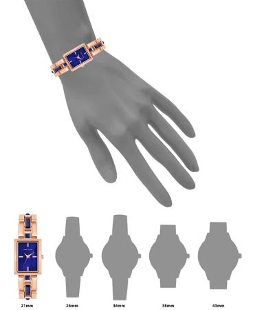 Часы наручные Anne Klein AK/4156BLRG