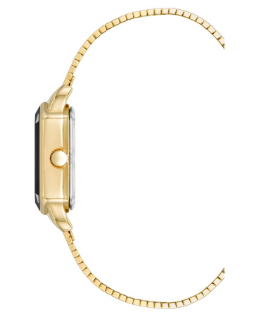 Часы наручные Anne Klein AK/5016BKGB