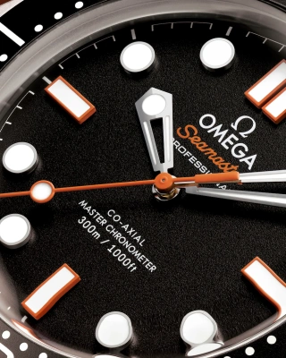 Часы наручные Omega 21030422001018 