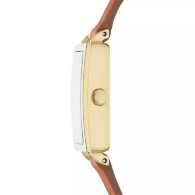 Часы наручные Skagen SKW3149