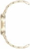 Часы наручные Anne Klein AK/1412IRGB