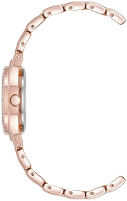 Часы наручные Anne Klein AK/5066PMRG