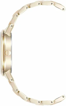 Часы наручные Anne Klein AK/1412IRGB