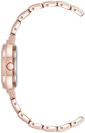 Часы наручные Anne Klein AK/5066PMRG