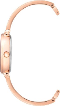 Часы наручные Anne Klein AK/3620BYST