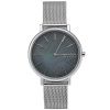 Часы наручные Skagen SKW2730 Часы наручные Skagen SKW2730