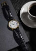 Часы наручные Frederique Constant FC-301S3B5