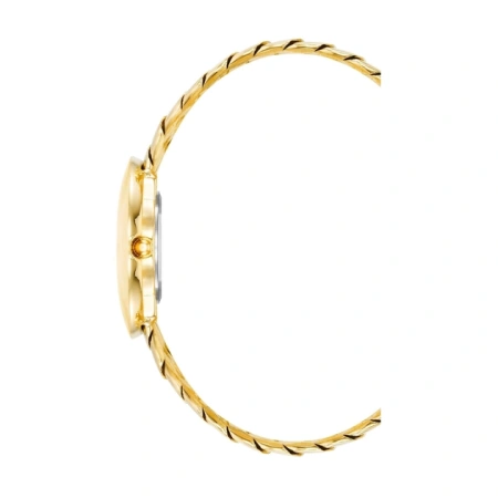 Часы наручные Anne Klein AK/4101MPTT