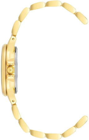 Часы наручные Anne Klein AK/4118TPGB