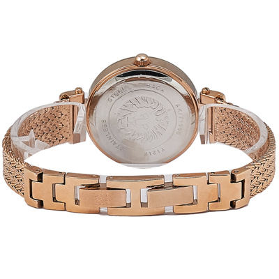 Часы наручные Anne Klein AK/1906RGRG