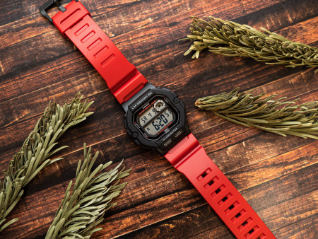 Часы наручные Casio WS-1400H-4AVEF