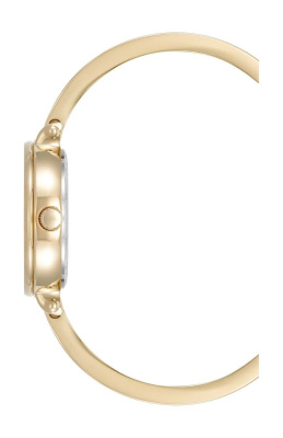 Часы наручные Anne Klein AK/5116GDST