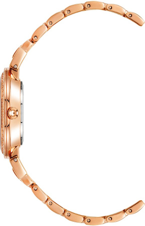 Часы наручные Anne Klein AK/2928BRST