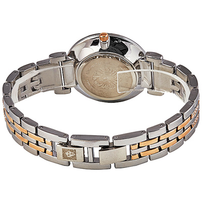 Часы наручные Anne Klein AK/3633MPRT