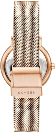 Часы наручные Skagen SKW2784