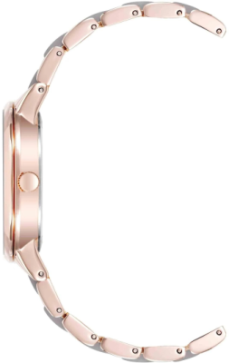Часы наручные Anne Klein AK/1412TPRG