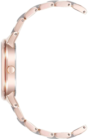 Часы наручные Anne Klein AK/1412TPRG