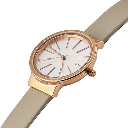 Часы наручные Skagen SKW2481