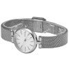 Часы наручные Skagen SKW2642