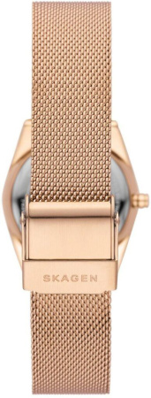 Часы наручные Skagen SKW3078 Часы наручные Skagen SKW3078