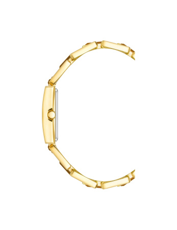 Часы наручные Anne Klein AK/4156TEGB