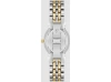 Часы наручные Anne Klein AK/5329MPTT