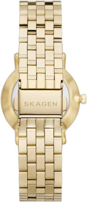 Часы наручные Skagen SKW3102