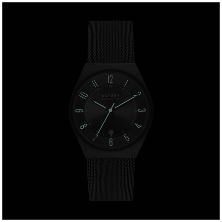 Часы наручные Skagen SKW6815 