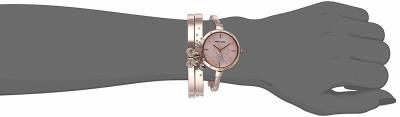 Часы наручные Anne Klein AK/3274RGST