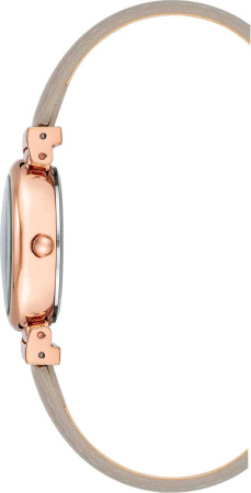 Часы наручные Anne Klein AK/2246RGTP