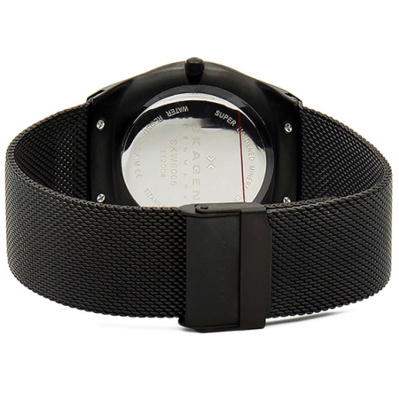 Часы наручные Skagen SKW6006