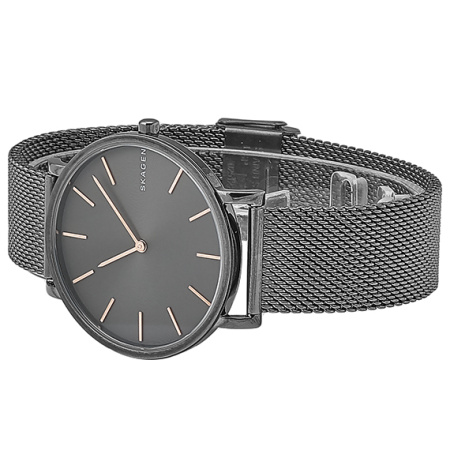 Часы наручные Skagen SKW6445 Часы наручные Skagen SKW6445