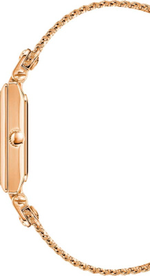 Часы наручные Anne Klein AK/3882RGRG