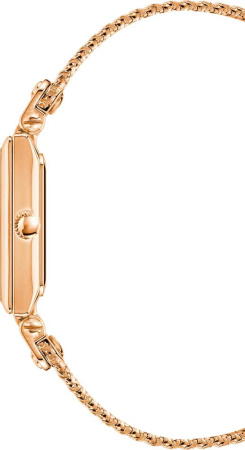 Часы наручные Anne Klein AK/3882RGRG