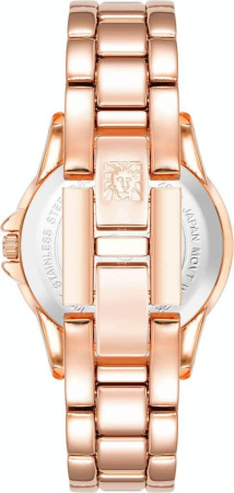 Часы наручные Anne Klein AK/4132BLRG  Часы наручные Anne Klein AK/4132BLRG