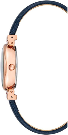 Часы наручные Anne Klein AK/2246RGNV