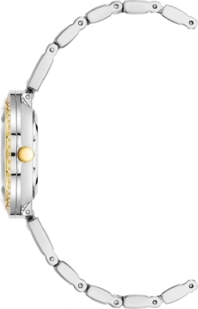 Часы наручные Anne Klein AK/3903SVTT