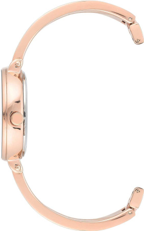 Часы наручные Anne Klein AK/3620WTST