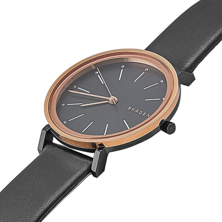 Часы наручные Skagen SKW2490