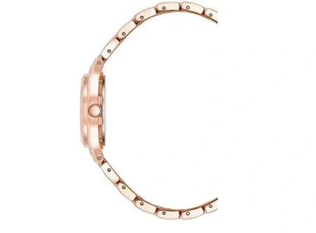 Часы наручные Anne Klein 10/5490MPRG