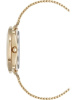 Часы наручные Anne Klein AK/5162GPST