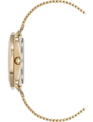 Часы наручные Anne Klein AK/5162GPST
