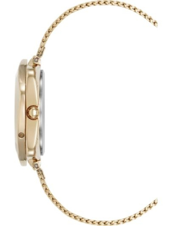 Часы наручные Anne Klein AK/5162GPST