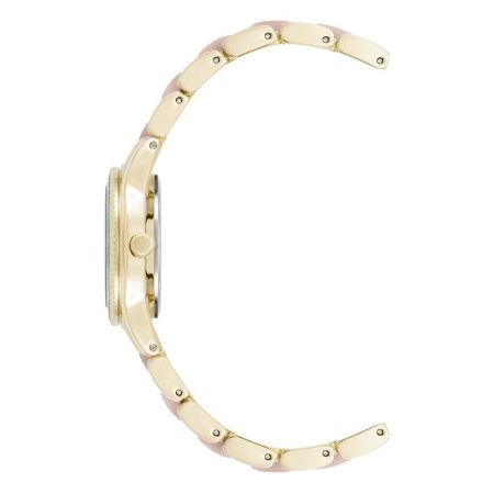 Часы наручные Anne Klein AK/3212LPGB