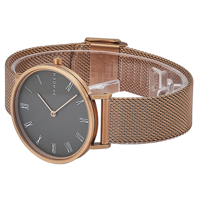 Часы наручные Skagen SKW2675