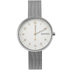 Часы наручные Skagen SKW2623 Часы наручные Skagen SKW2623