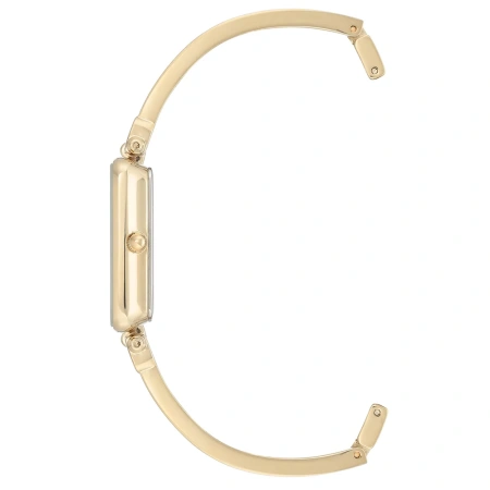 Часы наручные Anne Klein AK/3636TNGB